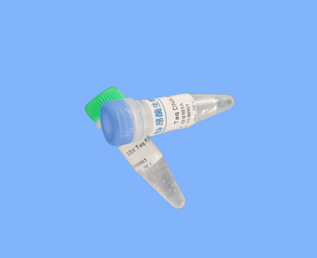 T4RNA 连接酶2，截短型K227Q