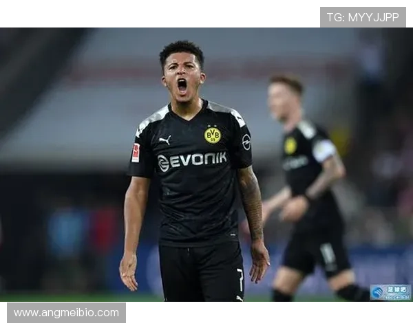 Lautaro未来商业潜力分析：如何改变足球市场格局与发展趋势