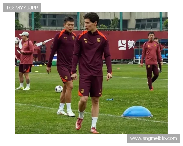 Musiala首次入选国家队经历：新星闪耀国际赛场