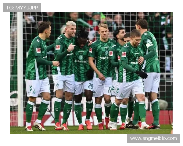 不来梅球队结构