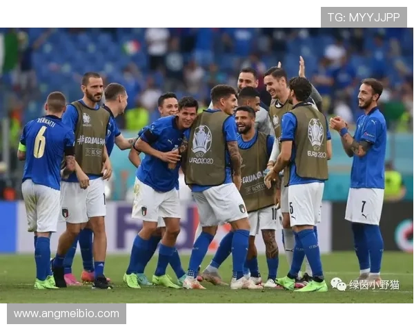 意大利国家队史