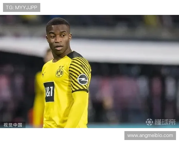 维尔茨伤病频率剖析:是否为玻璃体质的关键因素 维尔茨伤病频率剖析:是否为玻璃体质的关键因素